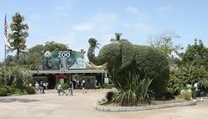 san diego_zoo